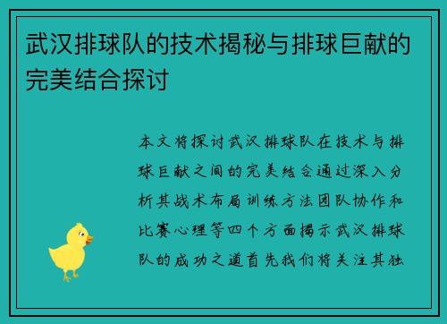 武汉排球队的技术揭秘与排球巨献的完美结合探讨