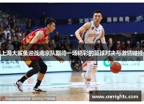 上海大鲨鱼迎战南京队期待一场精彩的篮球对决与激情碰撞